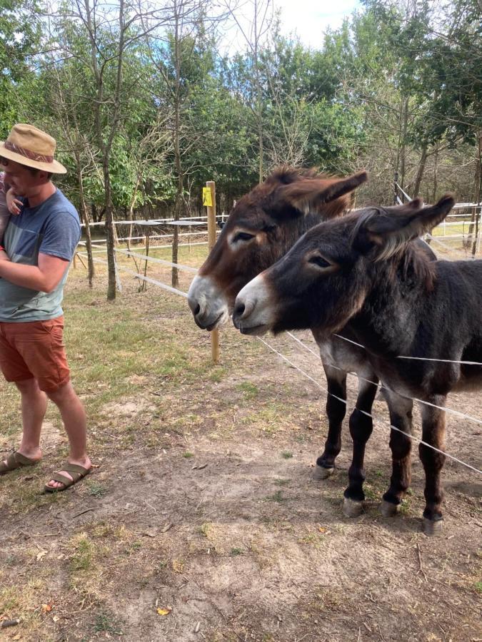 The Llama Farm France Saint-Cyr-Les-Champagnes Екстер'єр фото