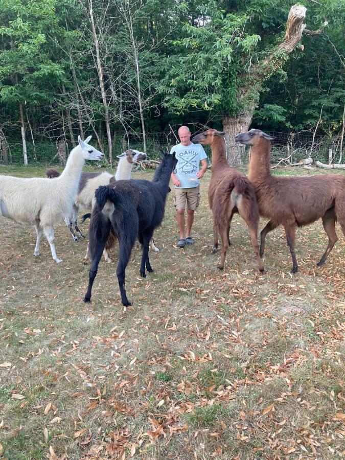 The Llama Farm France Saint-Cyr-Les-Champagnes Екстер'єр фото
