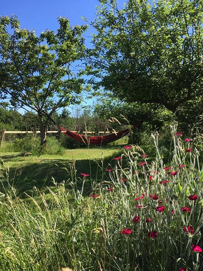 The Llama Farm France Saint-Cyr-Les-Champagnes Екстер'єр фото