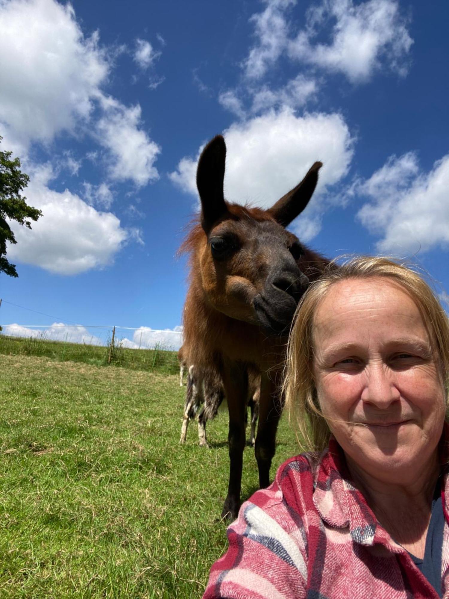 The Llama Farm France Saint-Cyr-Les-Champagnes Екстер'єр фото