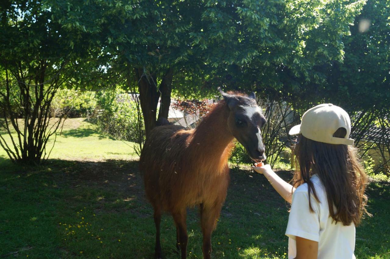 The Llama Farm France Saint-Cyr-Les-Champagnes Екстер'єр фото