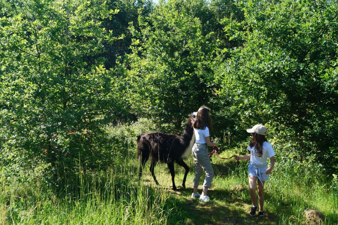The Llama Farm France Saint-Cyr-Les-Champagnes Екстер'єр фото