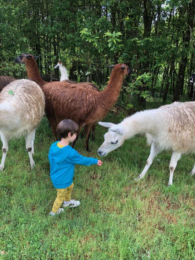 The Llama Farm France Saint-Cyr-Les-Champagnes Екстер'єр фото