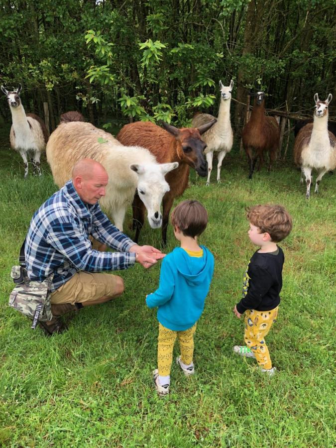 The Llama Farm France Saint-Cyr-Les-Champagnes Екстер'єр фото